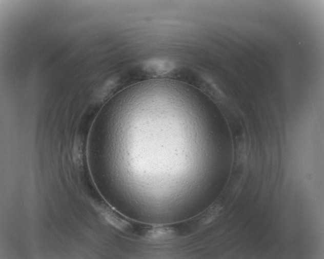 X0000081340274200701182028