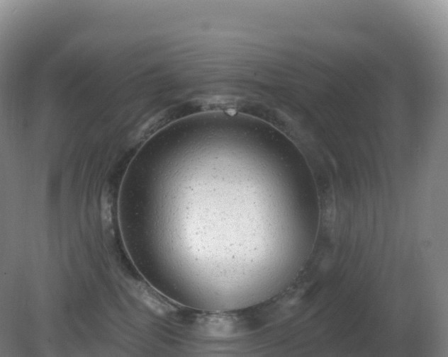 X0000081340282200701182028