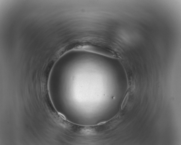 X0000081340283200701182028