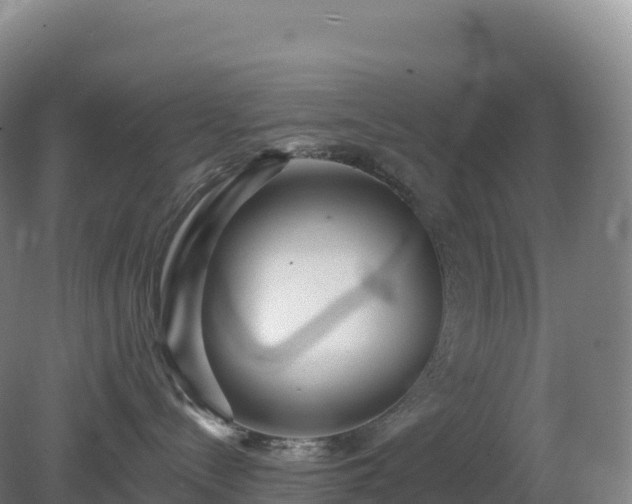 X0000081340288200701182029