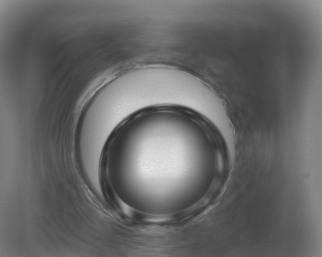 X0000081340293200701182028