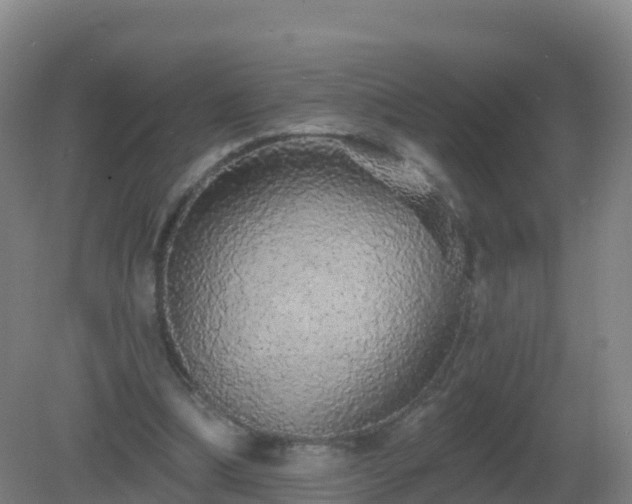 X0000081340298200701182028