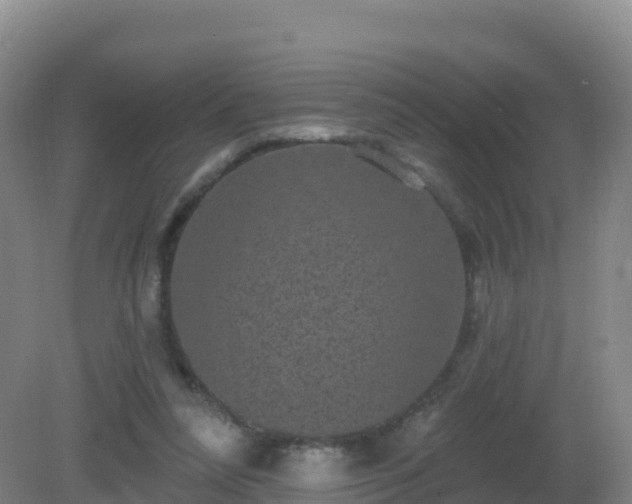 X0000081340304200701182027