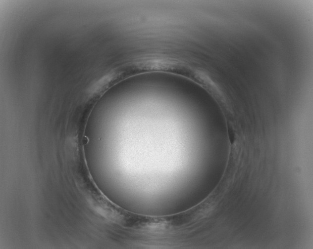 X0000081340306200701182027