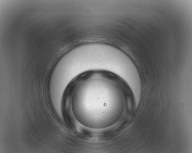 X0000081340309200701182027
