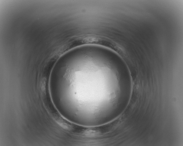 X0000081340315200701182027