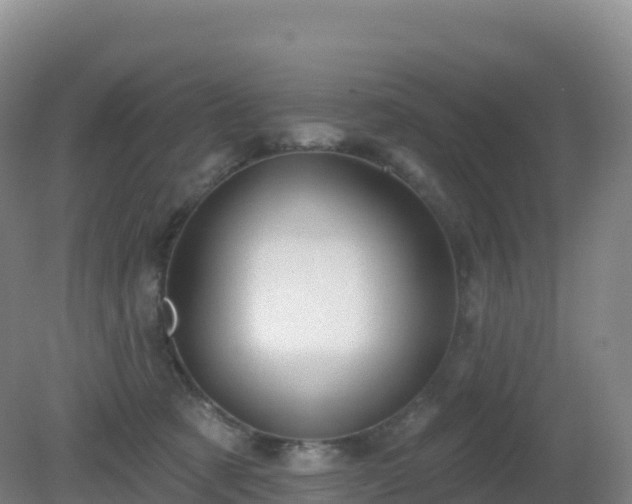 X0000081340321200701182027