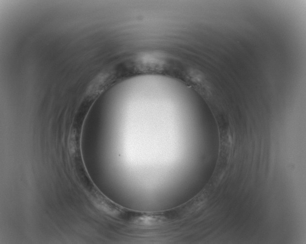 X0000081340323200701182027