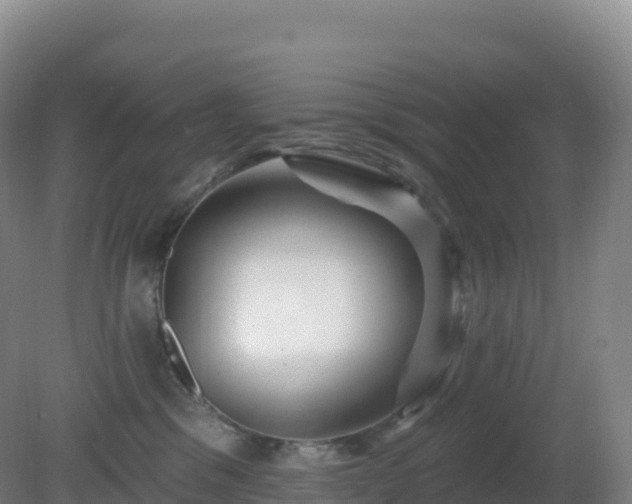 X0000081340329200701182027