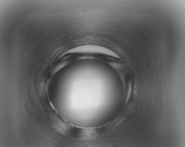 X0000081340333200701182027