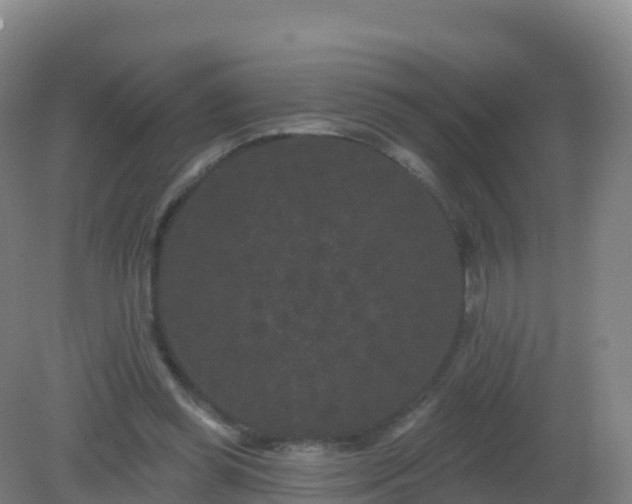 X0000081340349200701182026