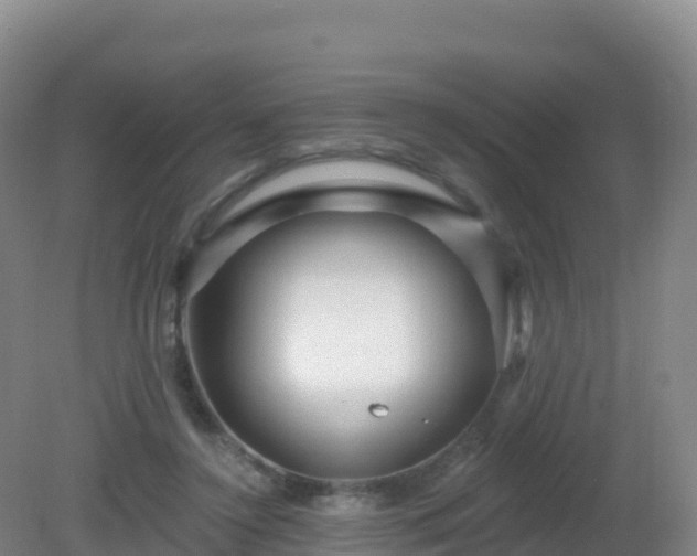 X0000081340356200701182026