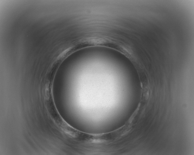 X0000081340360200701182026
