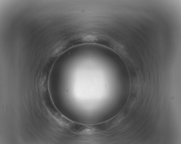 X0000081340364200701182027
