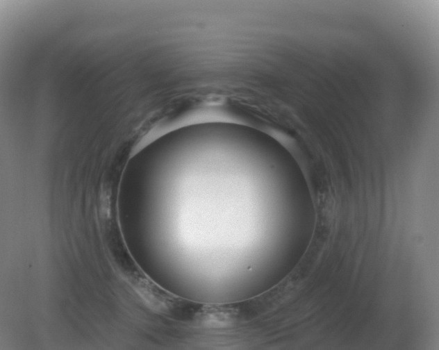 X0000081340368200701182027