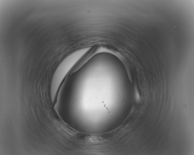 X0000081340372200701182027