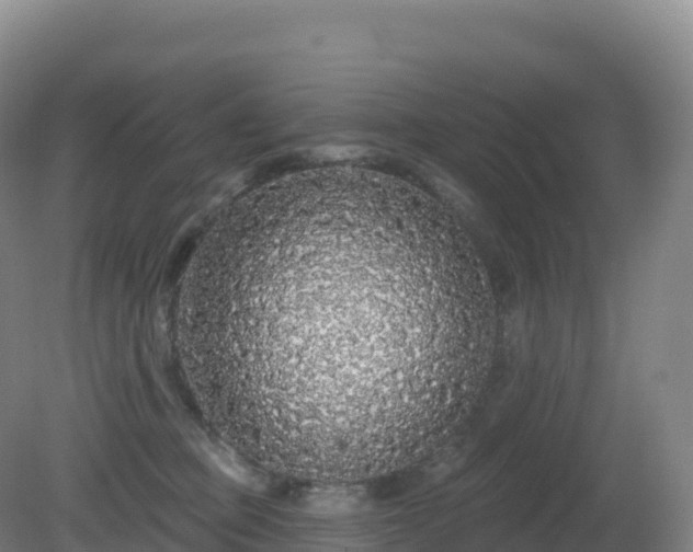 X0000081340373200701182027