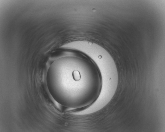 X0000081340376200701182027