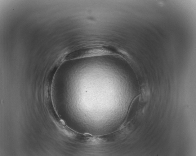 X0000081340379200701182027