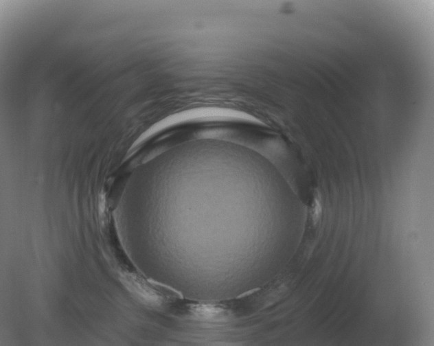 X0000081340380200701182027