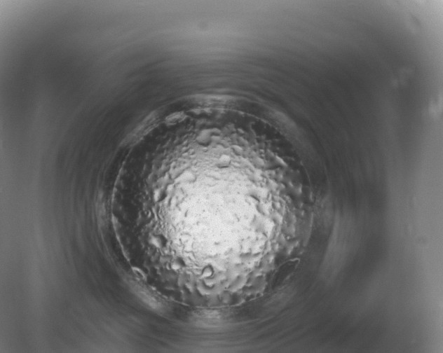 X0000081340381200701182027