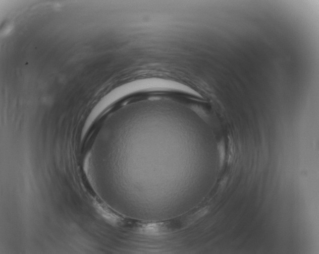 X0000081340382200701182027