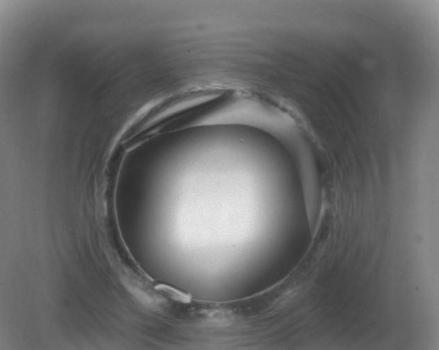 X0000081340395200701182026