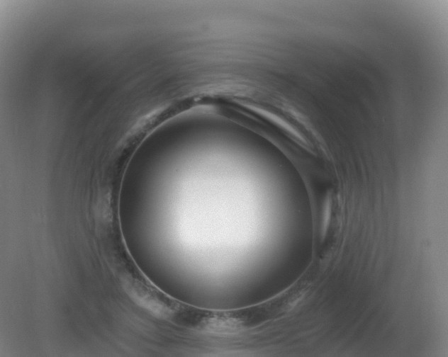 X0000081340403200701182026