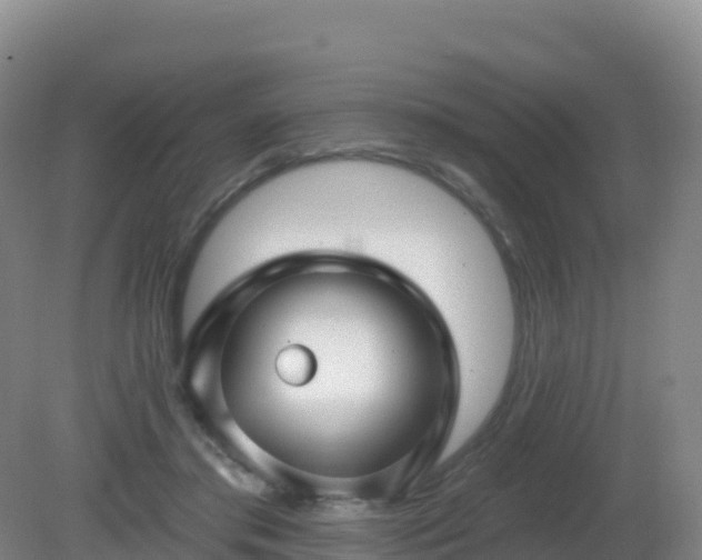 X0000081340405200701182026