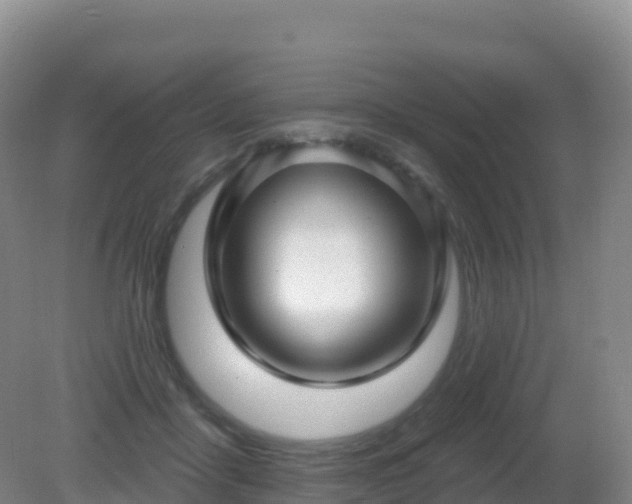 X0000081340411200701182026