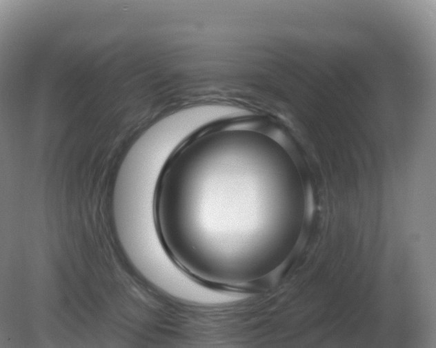 X0000081340419200701182026