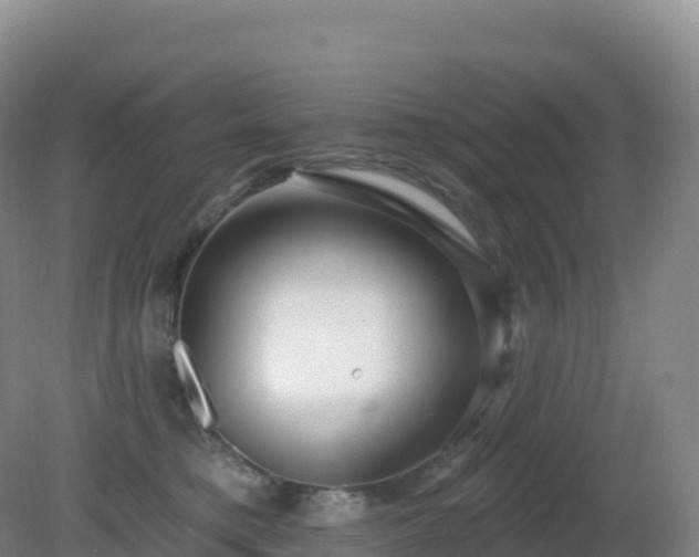 X0000081340421200701182025