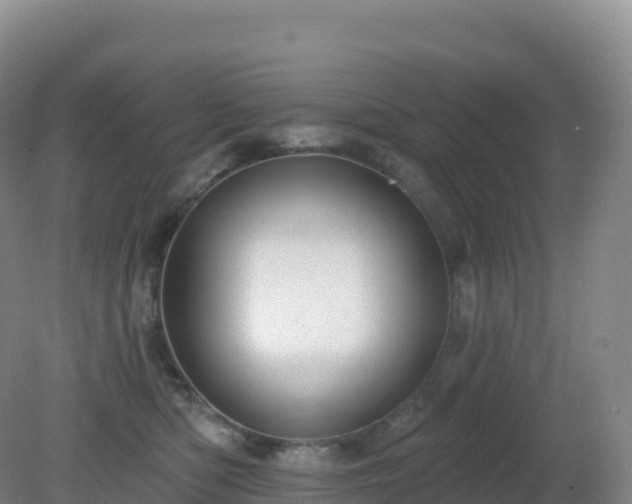 X0000081340422200701182025