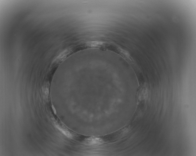 X0000081340427200701182025