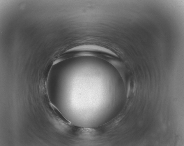 X0000081340429200701182025