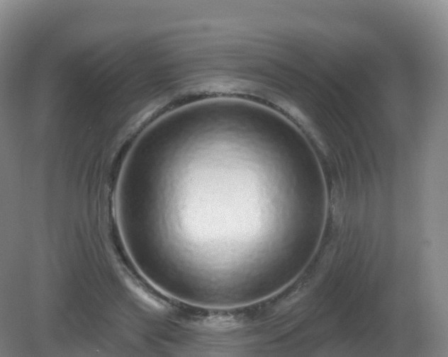 X0000081340445200701182025