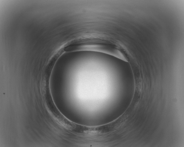 X0000081340448200701182025