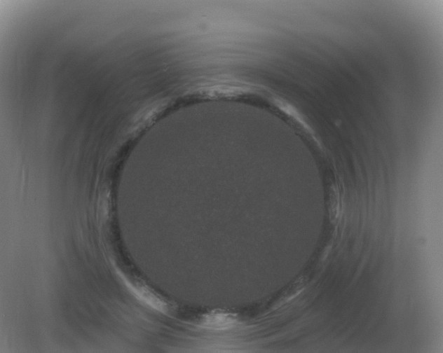X0000081340451200701182025