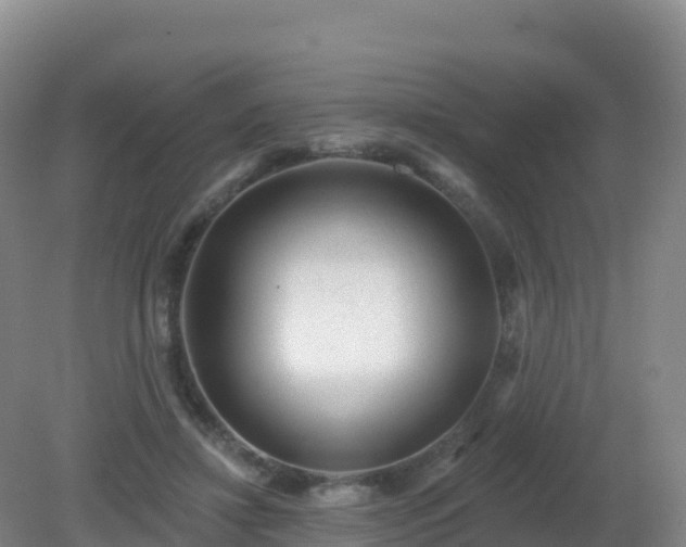 X0000081340452200701182025
