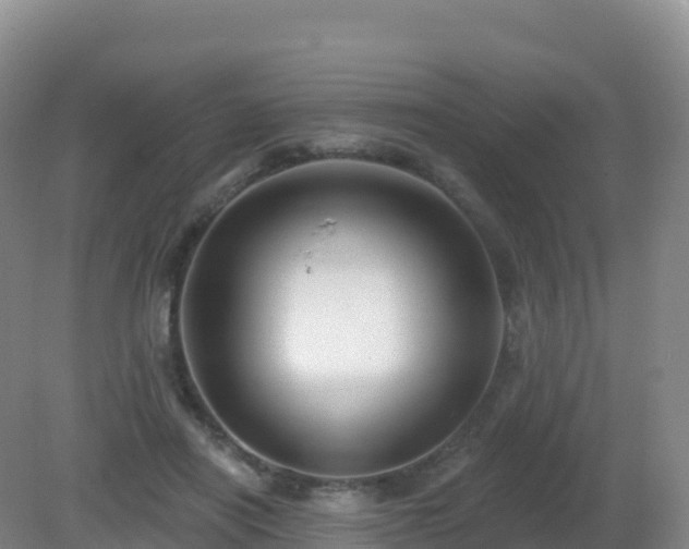 X0000081340454200701182025
