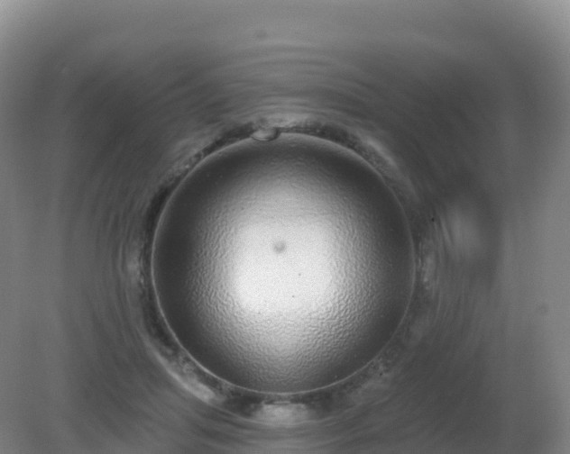 X0000081340455200701182025