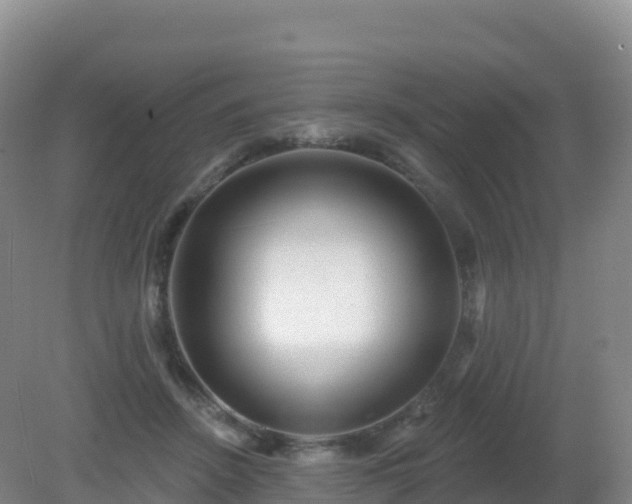 X0000081340456200701182025