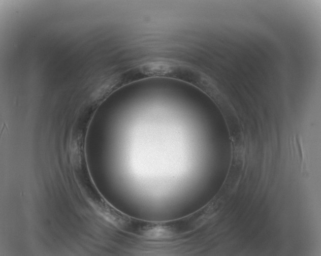 X0000081340460200701182025