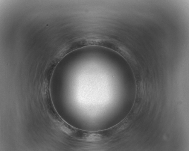 X0000081340463200701182025