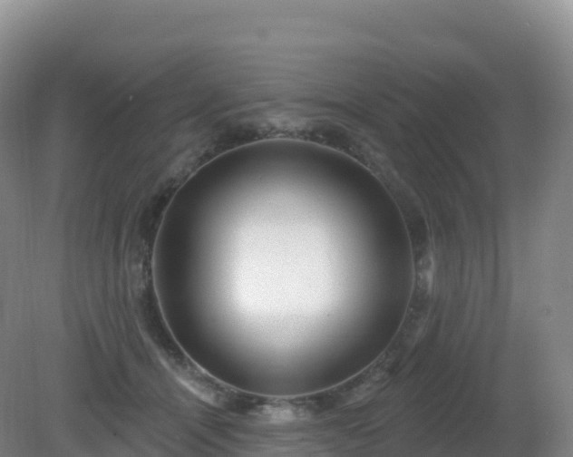 X0000081340464200701182025