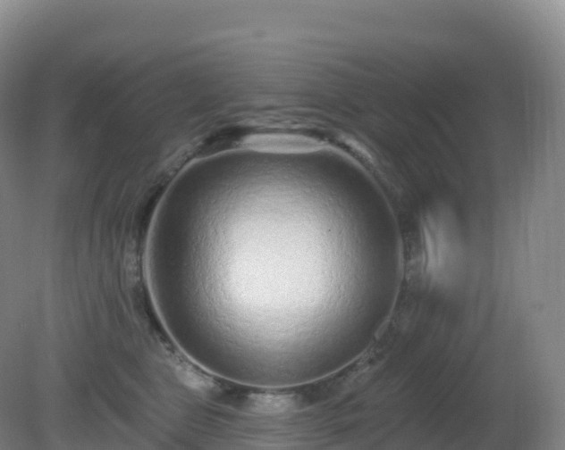 X0000081340469200701182025