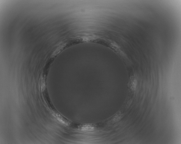 X0000081340471200701182025