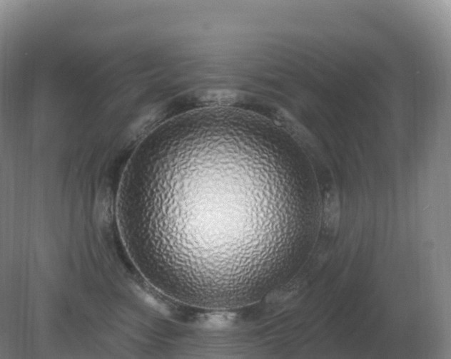 X0000081340474200701182025
