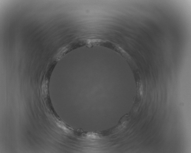 X0000081340475200701182025