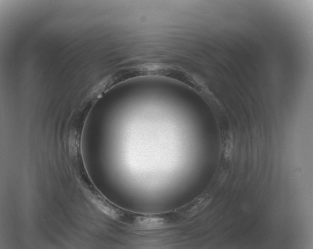 X0000081340476200701182025